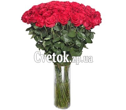 101 red imported rose 1 meter