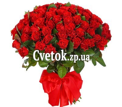 101 красная роза 40 см