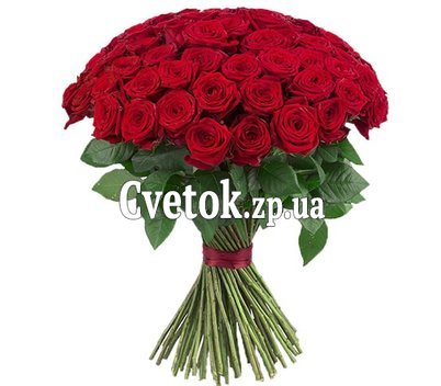 101 red rose 80 cm