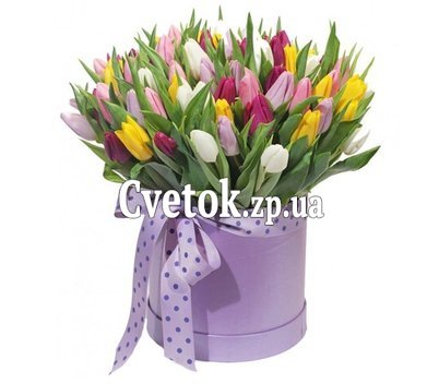 101 тюльпан в коробке