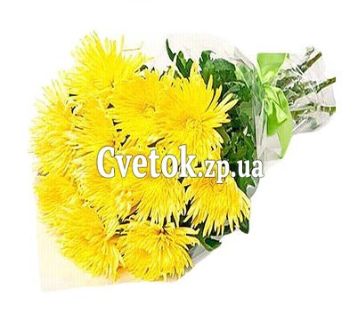 11 хризантем в букете
