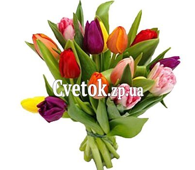 15 тюльпанов букет