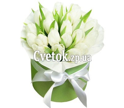 21 белый тюльпан в коробке