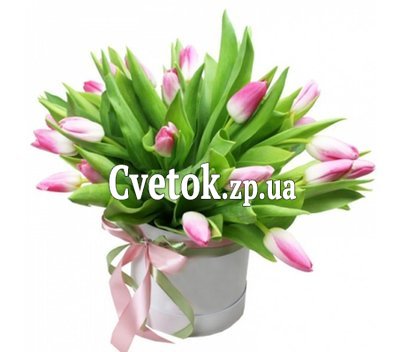 21 розовый тюльпан в коробке