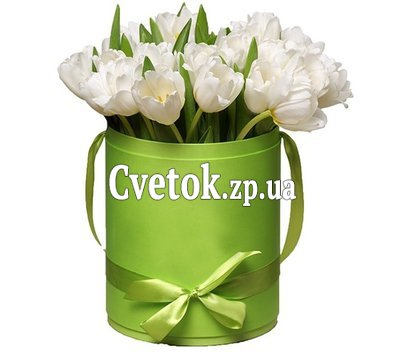 25 белых тюльпанов в коробке