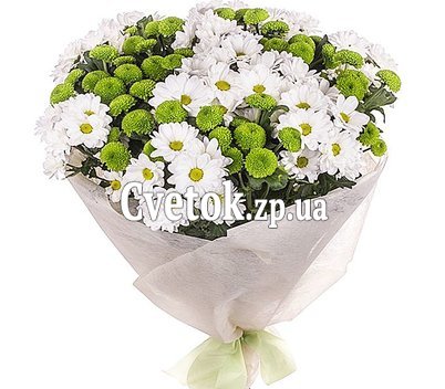 25 хризантем