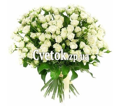 31 белая кустовая роза