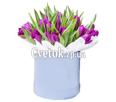 35 purple tulips in a box