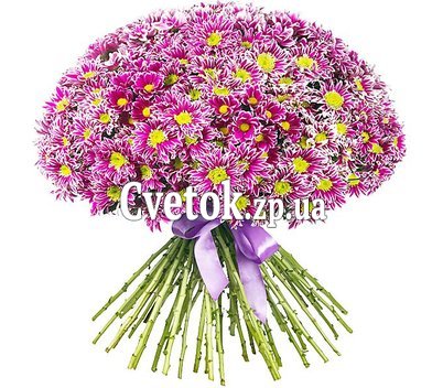 45 хризантем