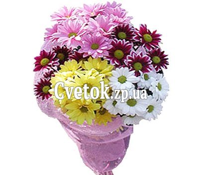 5 хризантем букет