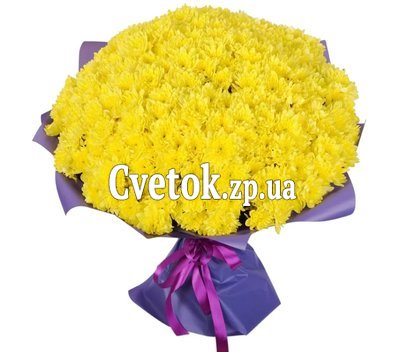51 хризантема купить
