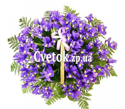 51 ирис в корзине