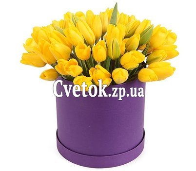 51 желтый тюльпан в шляпной коробке