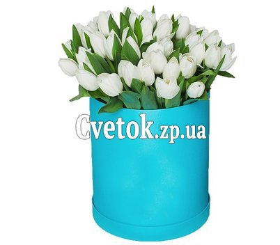 55 белых тюльпанов в коробке