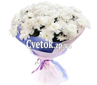 9 хризантем