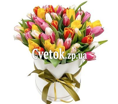 Большая коробка тюльпанов