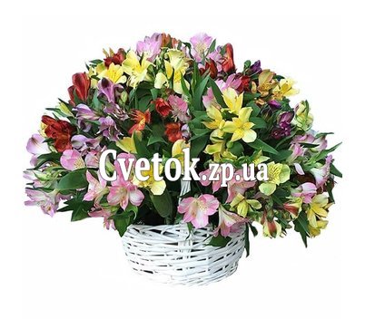 Большая корзина альстромерий