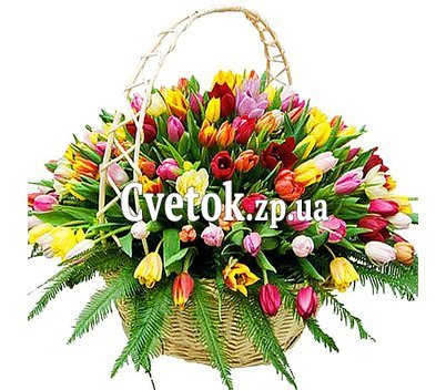 Большая корзина из 201 тюльпана