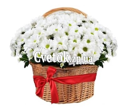 Большая корзина из ромашковых хризантем