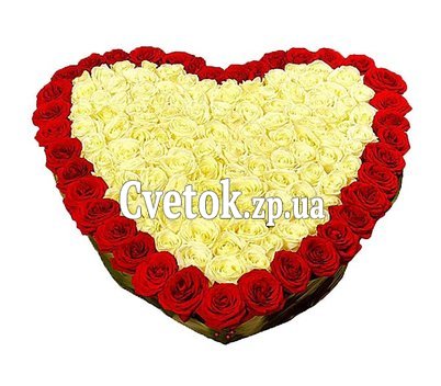 Большое сердце из 151 красной и белой розы
