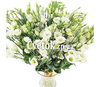 Большой букет белой эустомы