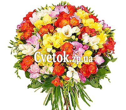 Большой букет фрезий