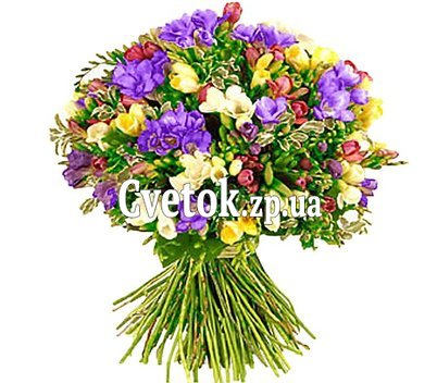 Букет 101 фрезия