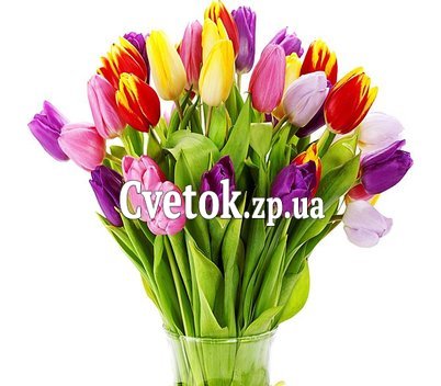 Букет 39 тюльпанов