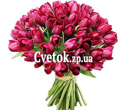 Букет цветов тюльпаны