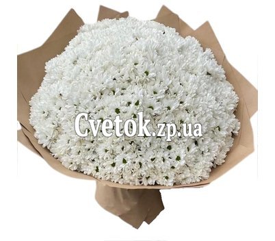 Букет из 101 хризантемы