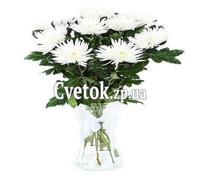 Букет из 11 одиночных хризантем