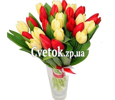 Букет из 25 тюльпанов
