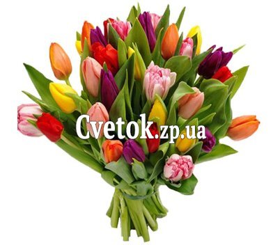Букет из 35 тюльпанов