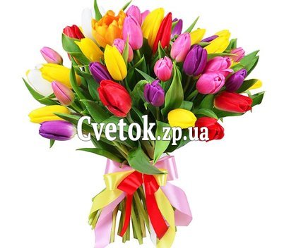 Букет из 51 тюльпана