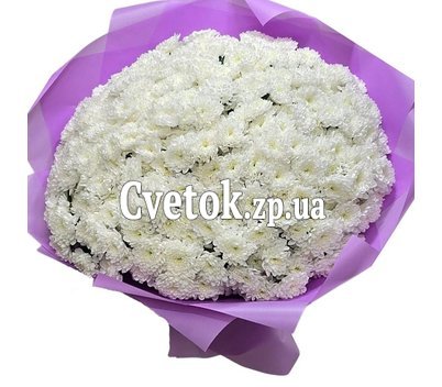 Букет из 55 хризантем