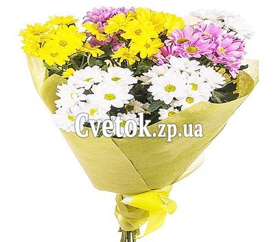 Bouquet of 7 chrysanthemums