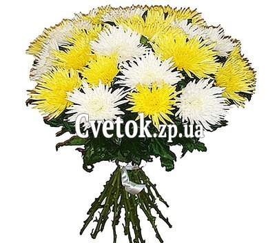 Bouquet of white and yellow single-headed chrysanthemums
