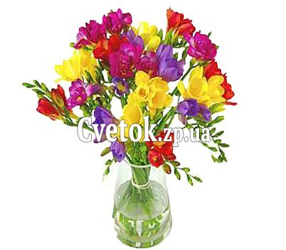 Букет из фрезий