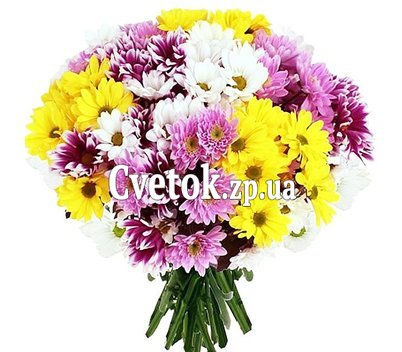 Bouquet of chrysanthemums of different colors