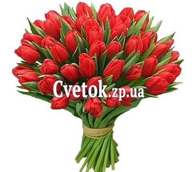 Bouquet of red tulips