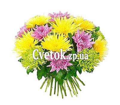 Bouquet of different color chrysanthemums