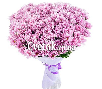 Букет из розовых хризантем