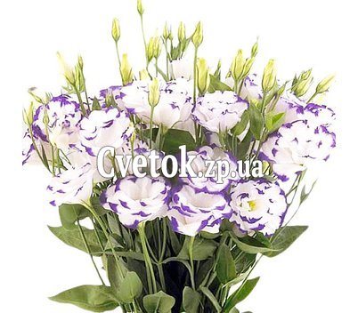 Букет с эустомой
