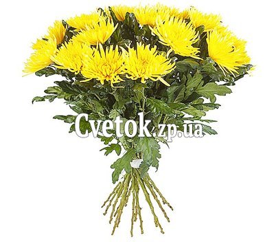 Букет желтых хризантем