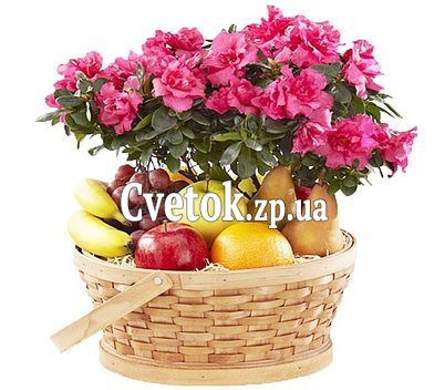 Цветок в горшке и фрукты в корзине