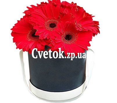 Цветы герберы в коробке