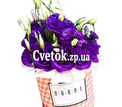 Фиолетовые эустомы в коробке