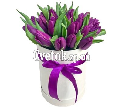 Фиолетовые тюльпаны в шляпной коробке