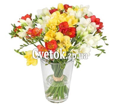 Фрезия букет