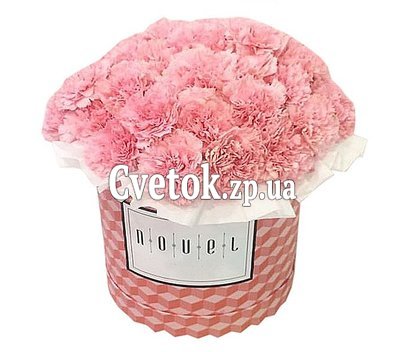 Гвоздики в коробке